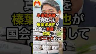 🔥10万再生突破！！米価格高騰の真犯人を榛葉賀津也が国会で暴露して官邸が大パニックにw