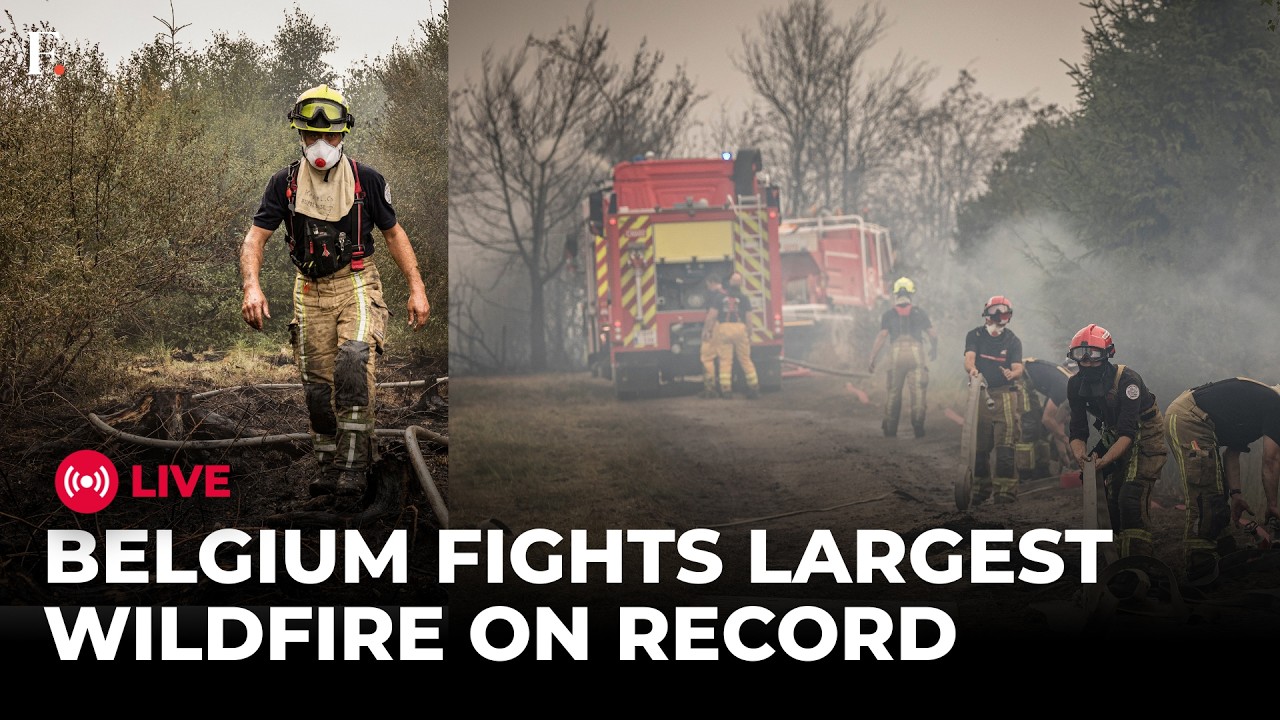 Wildfire LIVE: Belgium Faces Largest Wildfire on Record | Calls Europe for Emergency Air Support