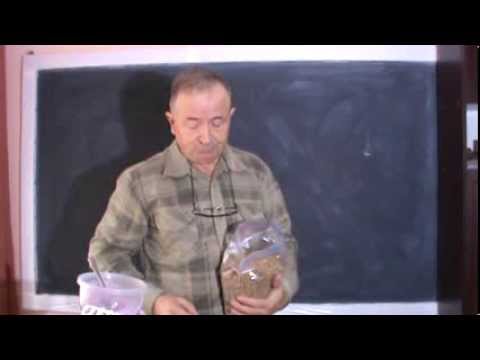 Reteta cu Produse Apicole Intarirea sistemului imunitar Putere mai mare de asimiare a cunostintelor