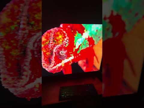 фото телевизор 55 qled samsung qe55q77rau 120гц 4к ярко 0