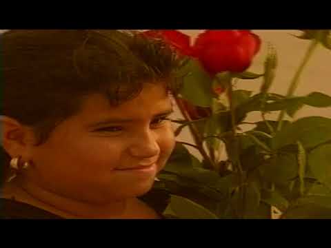 Grupo Mojado  Siete Rosas [video oficial]