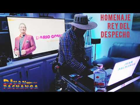 Homenaje A Darío Gómez. (El Rey Del Despecho)