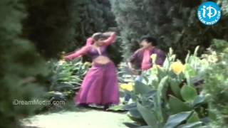 Brindavanam Movie Songs - Abbo Emi Vintha Song - Rajendra Prasad - Ramya Krishna