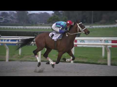 230820 c10 MAMARRACHO