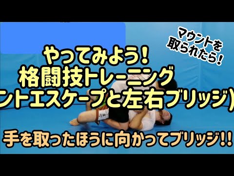 やってみよう！格闘技トレーニング(マウントエスケープと左右ブリッジ)【パンチのガードはNO !!】