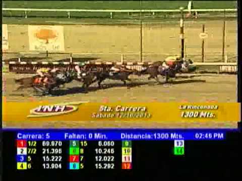 Resumen Sábado, 12 de Octubre de 2013 - La Rinconada