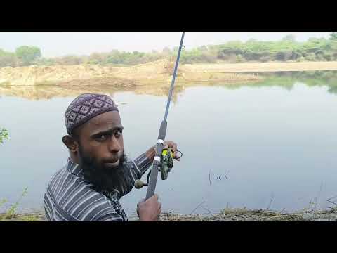 Manjeera Rivar feeder #fishcatching 🐠🐠🐠🐠🐠🐠🎣🎣 talapiya #fishcatching 