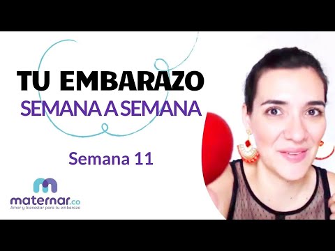 Semana 11 | Tu embarazo semana a semana | Maternar.co