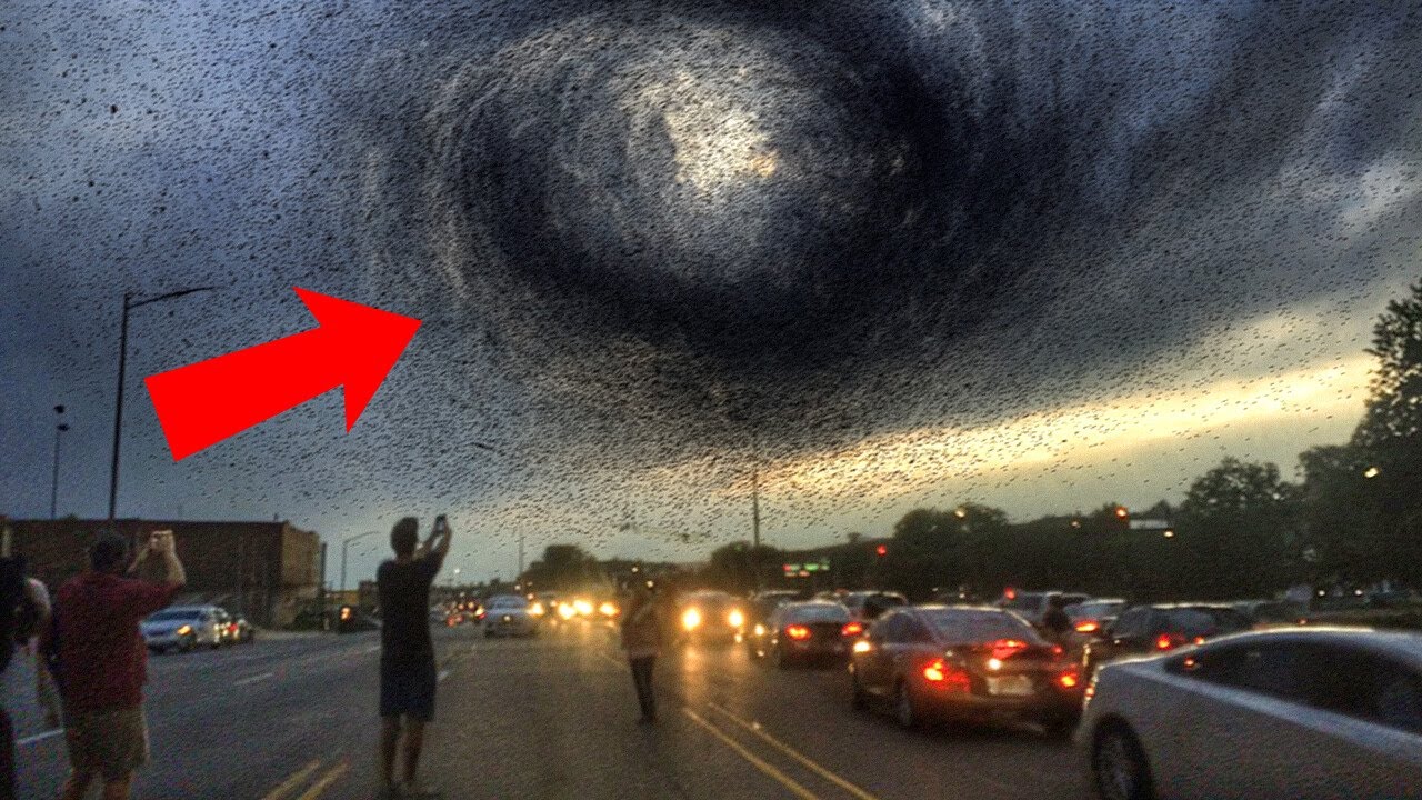 Самые ужасающие вещи, которые когда-либо совершала природа