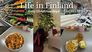 Days in my life in Finland | Living alone diaries | Cozy Christmas | Cooking | life of an introvert