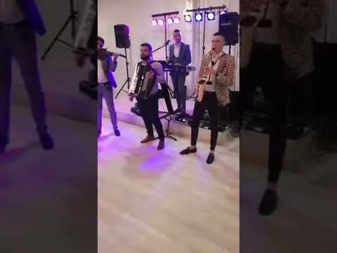 Instrumentala-Saxofon-acordeon si vioara !