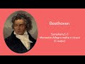 Ludwig van Beethoven - Symphony 1.3 Menuetto Allegro molto e vivace C major