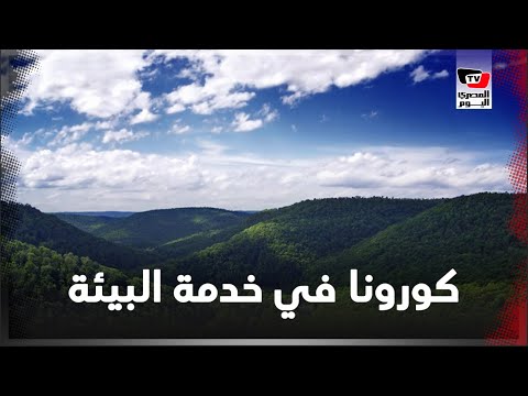 كيف تأثرت البيئة حول العالم بعد كورونا ؟