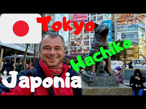 Viața locală in Tokyo, Japonia - Orașul care trăiește în tăcere