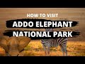 Everything You Need to Know About a Safari in Addo Elephant National Park | Part 2