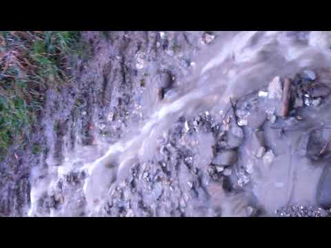 KYSUCKÝ LIESKOVEC AROGANCIA VEDENIA!!!!!!