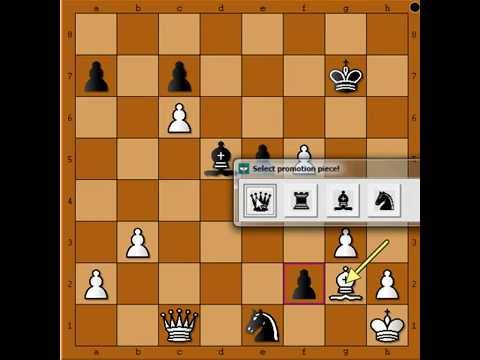 Opasnost  od  malog prostora u sahu - SIEGLEN vs WESSELIN - pozicija 26 # 570