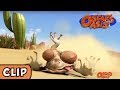 Oscar S Oasis Uh Oh
