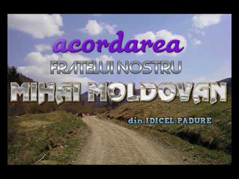 Anuntarea TROFEULUI " ZASPAD " acordat fratinelui MIHAI MOLDOVAN din IDICEL PADURE
