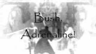 Bush, Adrenaline