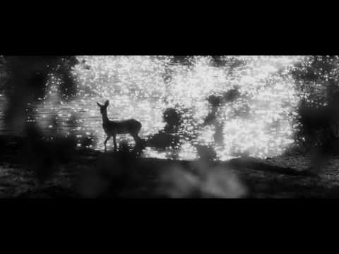 FlyingLibertyMovies - Woodkid - The Deer