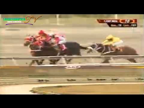 LA RINCONADA 10 CARRERA DOMINGO 09 DE MARZO DEL 2014