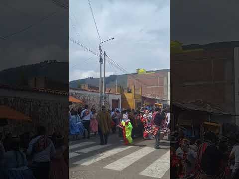 Carnavales Jonsani Suca 2024 - Huancané - Puno - Peru.