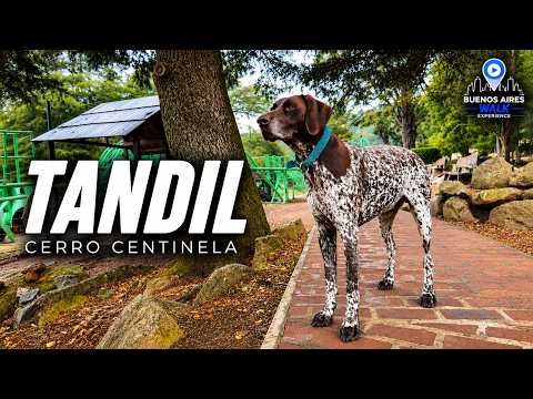 Rainy Mountain Walk in Tandil 🇦🇷 | Nature Sounds & Peaceful Scenery