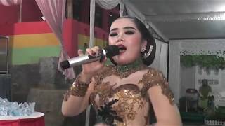 Download lagu TERBARU JAMILA JAMILUN - LAGI SYANTIK mp3 Download lagu TERBARU JAMILA JAMILUN - LAGI SYANTIK mp3