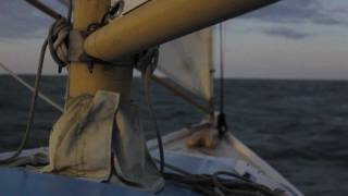 Little Tybee - I Wonder Which House the Fish will Live In