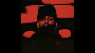 Privilege (Extended) - The Weeknd