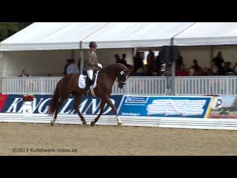 Hannoveraner Reitpferde-Championat 2013 - Dreijährige Hengste
