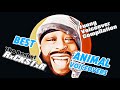 Best Animal Voiceovers 2024 by RxCKSTxR