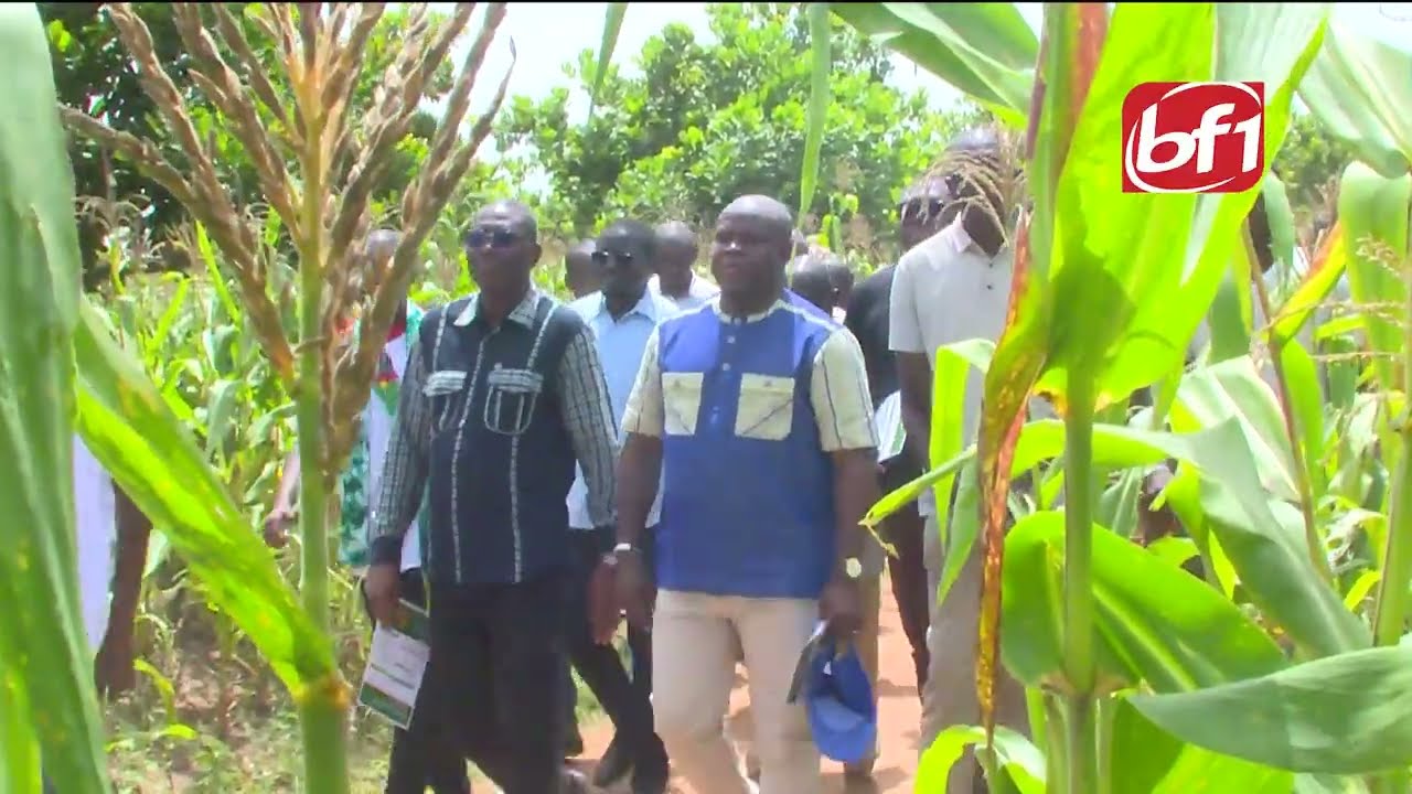 Campagne agro-pastorale 2026-2027 : les activités agricoles évoluent favorablement à Yendéré