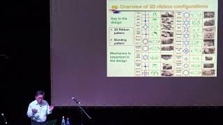 Yonggang Huang: "Mechanics-guided 3D assembly of complex mesostructure