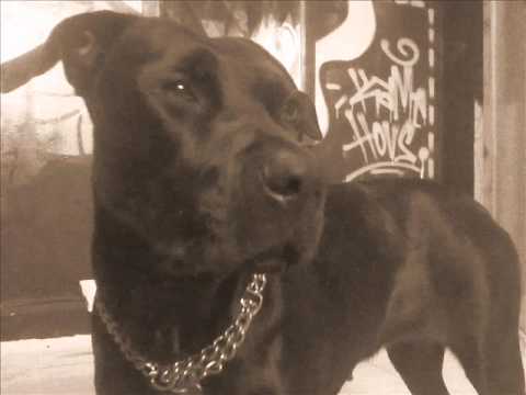 MALA PALABRA - EL SUR DESPIERTA