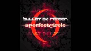 Bullet of Reason - Counting Bodies Like Sheep to the Rhythm of the War Drums (APC Cover)