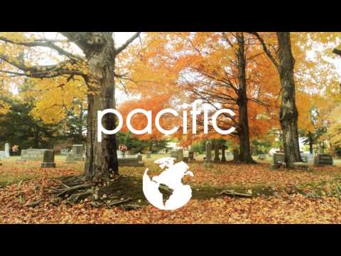 Synthetic Epiphany ft. CoMa - Volition