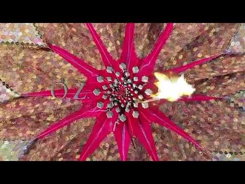 Avalon Ozora festival 2017 highlights