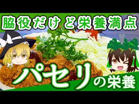 栄養セニャレットについて詳しく解説