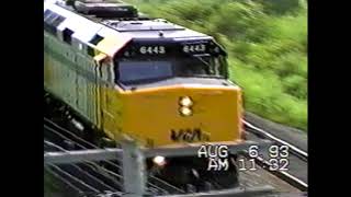 Trains at the Denfield Bridge.  August 6, 1993