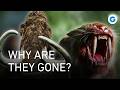The Last Giants Tracking The Ice Age Extinction  Full Documentary