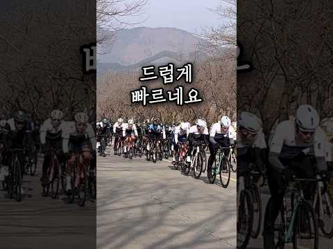 한국 사이클 선수들 수준