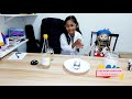 Volcano Eruption Meshnee Little Einstein