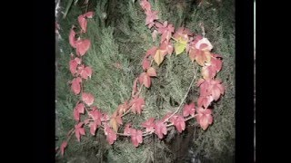 NANA MOUSKOURI - LA HIEDRA