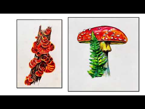 level 3 Art & Design Extended Diploma Year 2