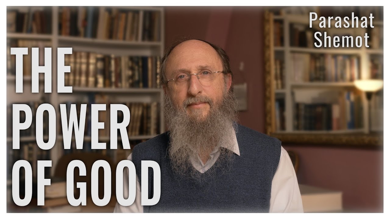 Parashat Shemot 5784 : The Power of Good