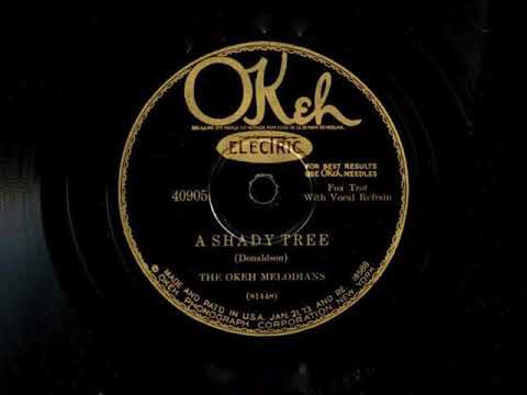 A Shady Tree by Sam Lanin and His Orchestra, 1927