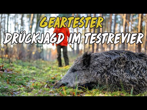 Drückjagd im Testrevier