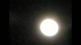 SINATRA AT THE SANDS.Fly Me to The Moon.